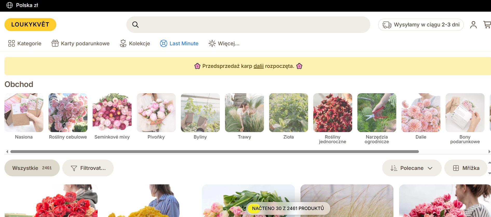 Strona sklepu LOUKYKVET z ofertą nasion kwiatów jednorocznych