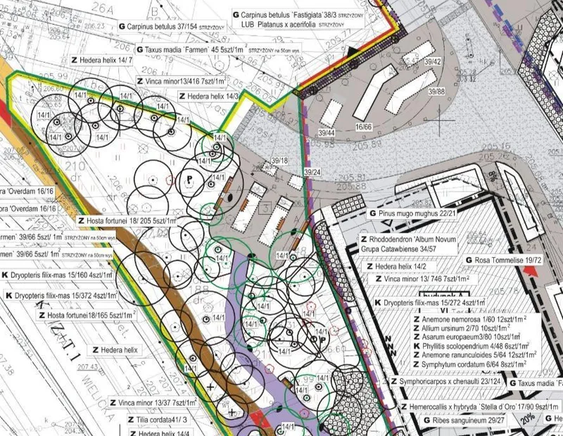 Plan zagospodarowania działki z podziałem na strefy zieleni